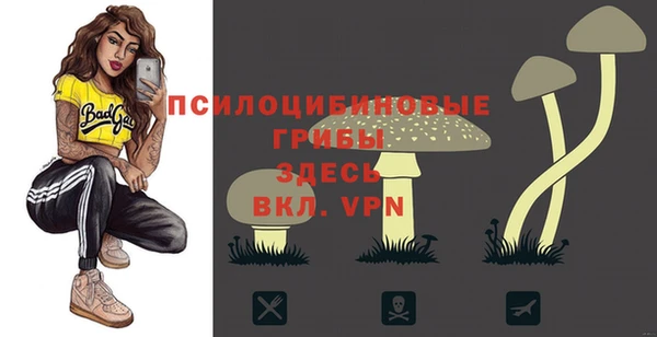 МДПВ Белокуриха